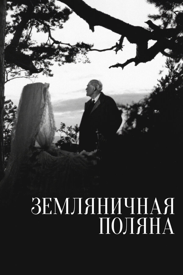 Постер фильма Земляничная поляна